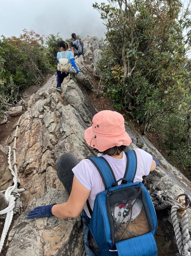 【台中】鳶嘴山+捎來步道。貓咪巴蕊初登鳶嘴山。標高2180中級山。懼高者體驗心得分享