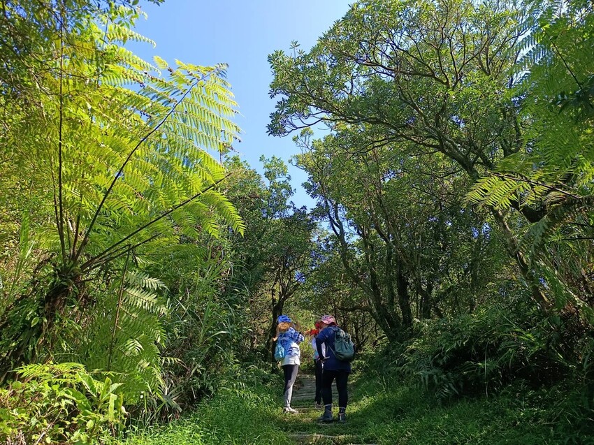 【基隆】姜子寮步道。小百岳no.11。山頂360度環景超美的+義美石頭火鍋