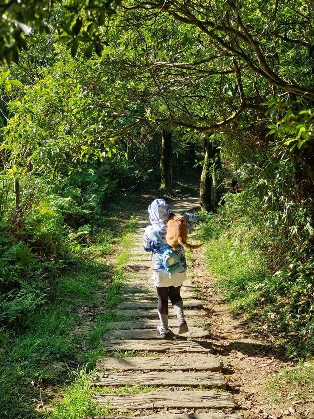 【基隆】姜子寮步道。小百岳no.11。山頂360度環景超美的+義美石頭火鍋