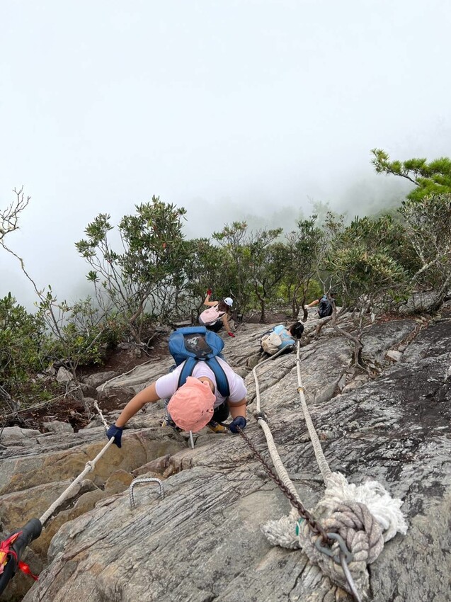 【台中】鳶嘴山+捎來步道。貓咪巴蕊初登鳶嘴山。標高2180中級山。懼高者體驗心得分享