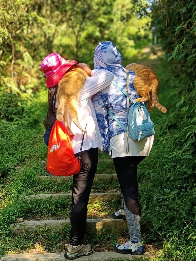 【基隆】姜子寮步道。小百岳no.11。山頂360度環景超美的+義美石頭火鍋