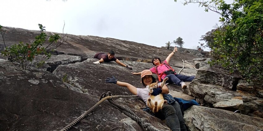 【台中】鳶嘴山+捎來步道。貓咪巴蕊初登鳶嘴山。標高2180中級山。懼高者體驗心得分享