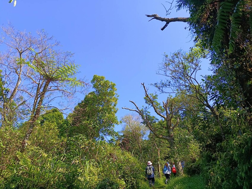 【基隆】姜子寮步道。小百岳no.11。山頂360度環景超美的+義美石頭火鍋