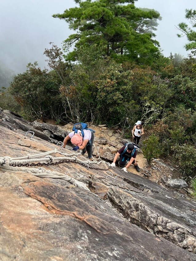 【台中】鳶嘴山+捎來步道。貓咪巴蕊初登鳶嘴山。標高2180中級山。懼高者體驗心得分享