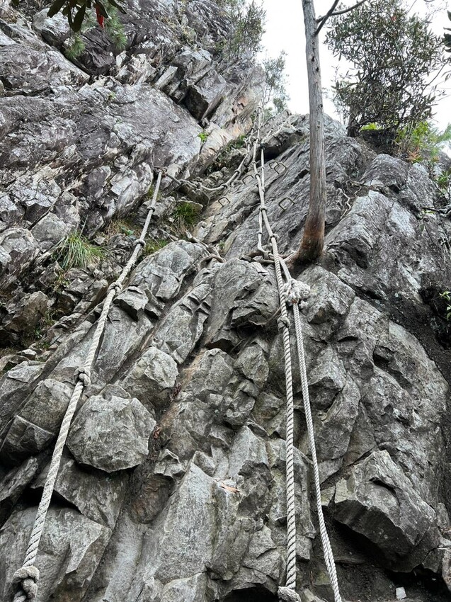 【台中】鳶嘴山+捎來步道。貓咪巴蕊初登鳶嘴山。標高2180中級山。懼高者體驗心得分享