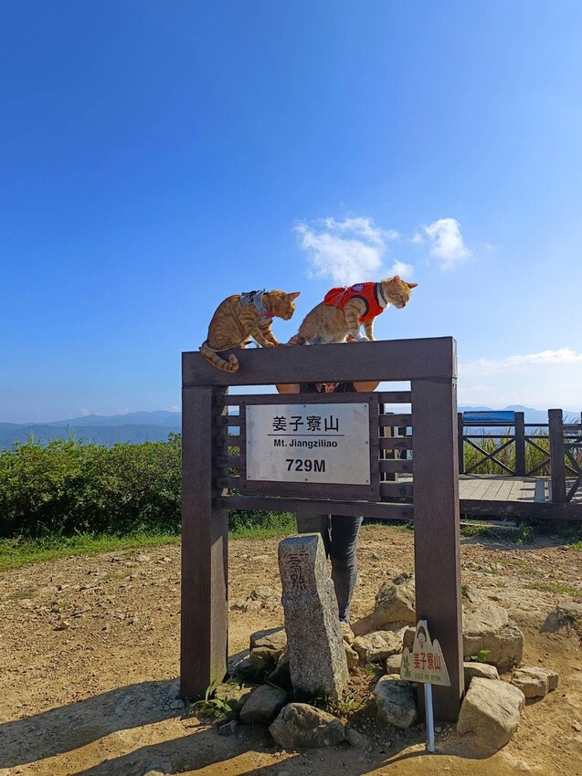 【基隆】姜子寮步道。小百岳no.11。山頂360度環景超美的+義美石頭火鍋