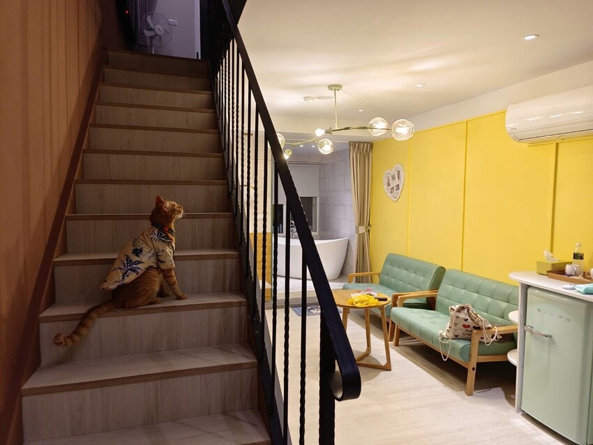 363825.jpg - 【屏東.小琉球】寵物友善住宿推薦。琉球粉舍海景民宿。有網美泳池可看海。樓中樓房型+陽台看海+超大浴缸