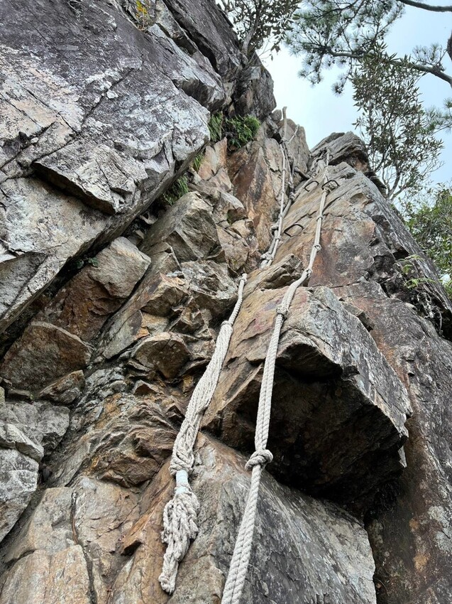 【台中】鳶嘴山+捎來步道。貓咪巴蕊初登鳶嘴山。標高2180中級山。懼高者體驗心得分享