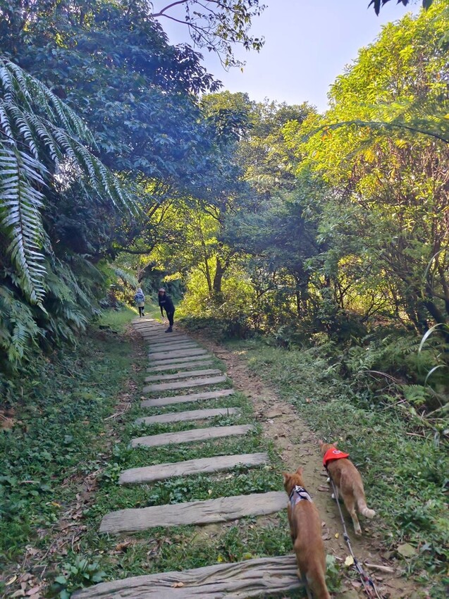 【基隆】姜子寮步道。小百岳no.11。山頂360度環景超美的+義美石頭火鍋