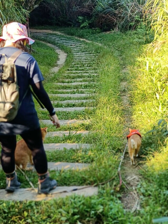 【基隆】姜子寮步道。小百岳no.11。山頂360度環景超美的+義美石頭火鍋