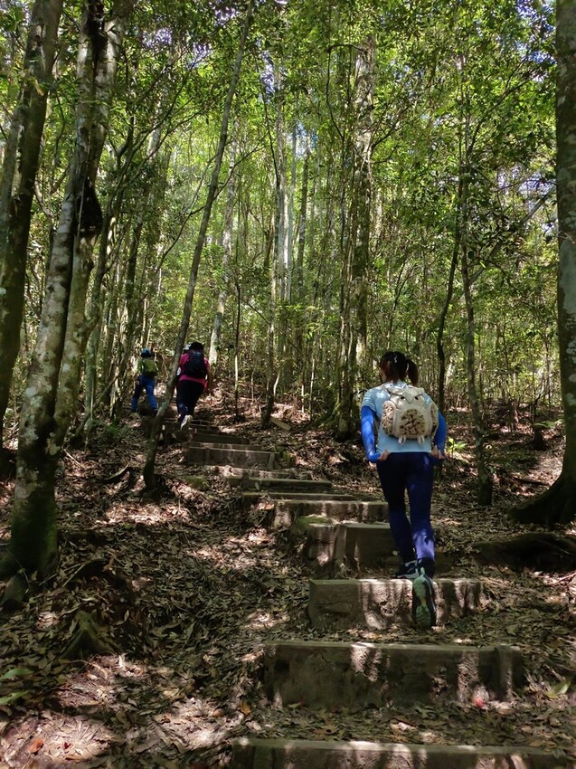 【台中】鳶嘴山+捎來步道。貓咪巴蕊初登鳶嘴山。標高2180中級山。懼高者體驗心得分享