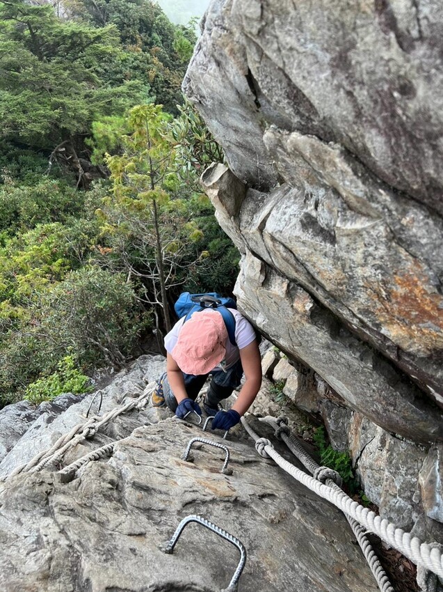 【台中】鳶嘴山+捎來步道。貓咪巴蕊初登鳶嘴山。標高2180中級山。懼高者體驗心得分享