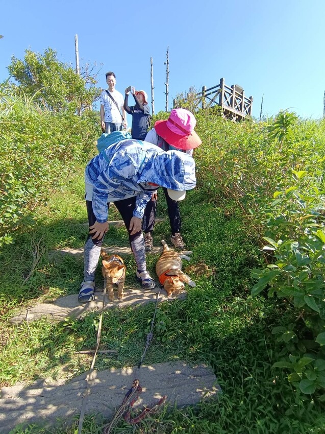 【基隆】姜子寮步道。小百岳no.11。山頂360度環景超美的+義美石頭火鍋