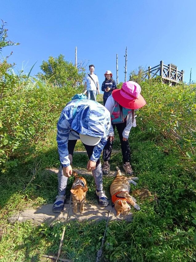 【基隆】姜子寮步道。小百岳no.11。山頂360度環景超美的+義美石頭火鍋