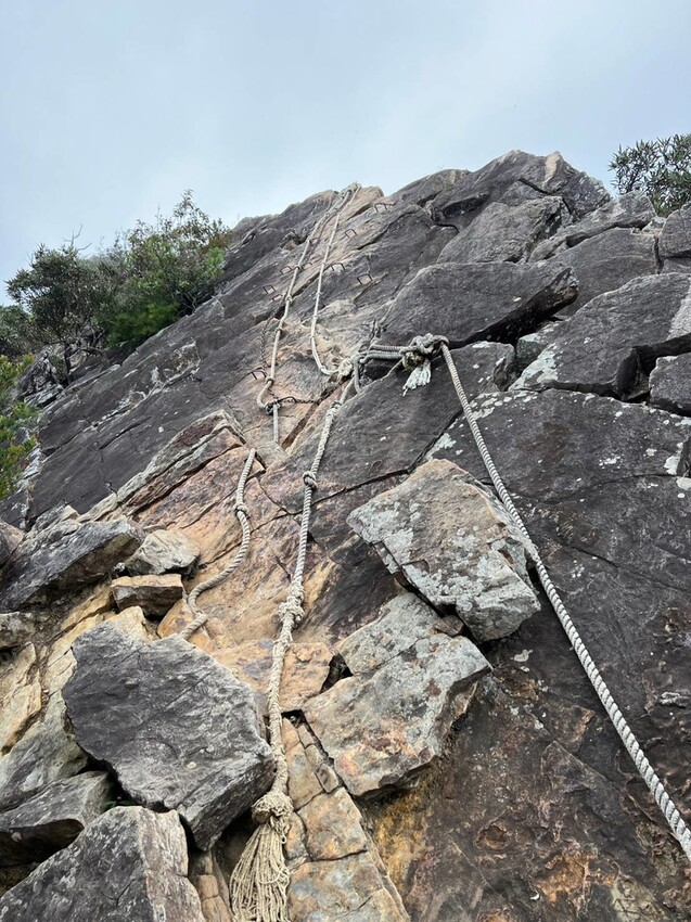 【台中】鳶嘴山+捎來步道。貓咪巴蕊初登鳶嘴山。標高2180中級山。懼高者體驗心得分享