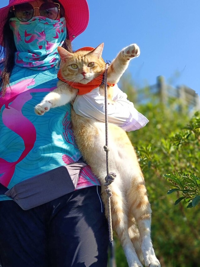 【基隆】姜子寮步道。小百岳no.11。山頂360度環景超美的+義美石頭火鍋