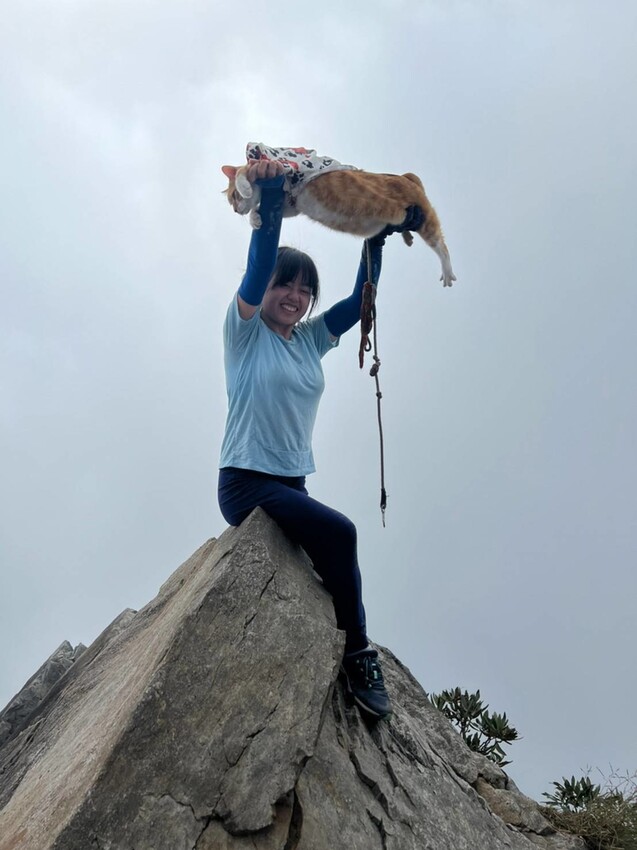 【台中】鳶嘴山+捎來步道。貓咪巴蕊初登鳶嘴山。標高2180中級山。懼高者體驗心得分享