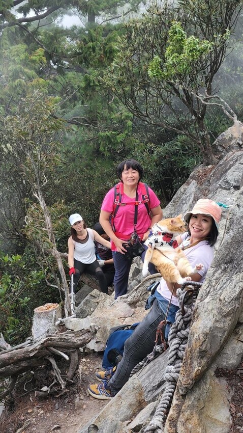 【台中】鳶嘴山+捎來步道。貓咪巴蕊初登鳶嘴山。標高2180中級山。懼高者體驗心得分享