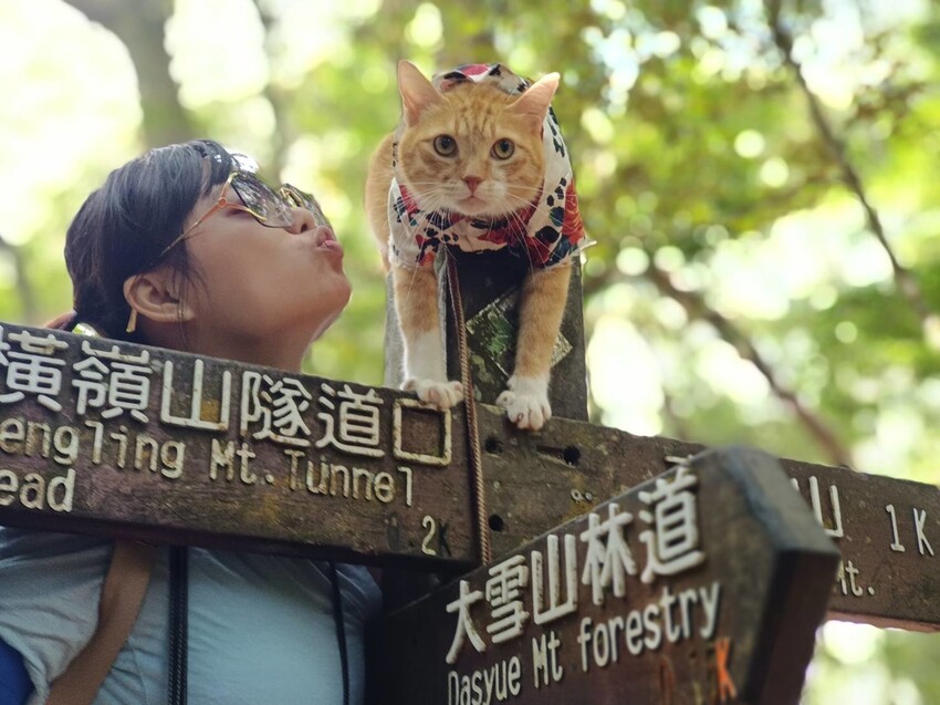 【台中】鳶嘴山+捎來步道。貓咪巴蕊初登鳶嘴山。標高2180中級山。懼高者體驗心得分享