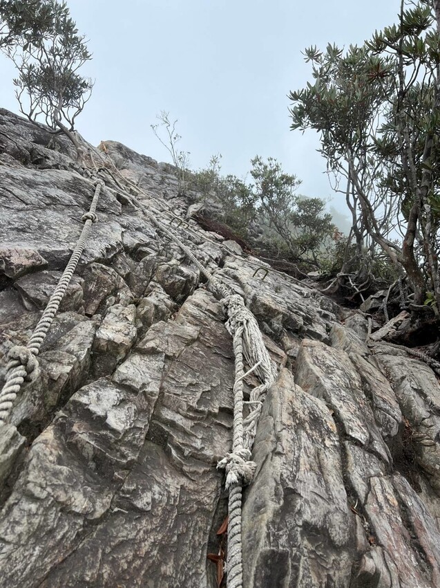 【台中】鳶嘴山+捎來步道。貓咪巴蕊初登鳶嘴山。標高2180中級山。懼高者體驗心得分享