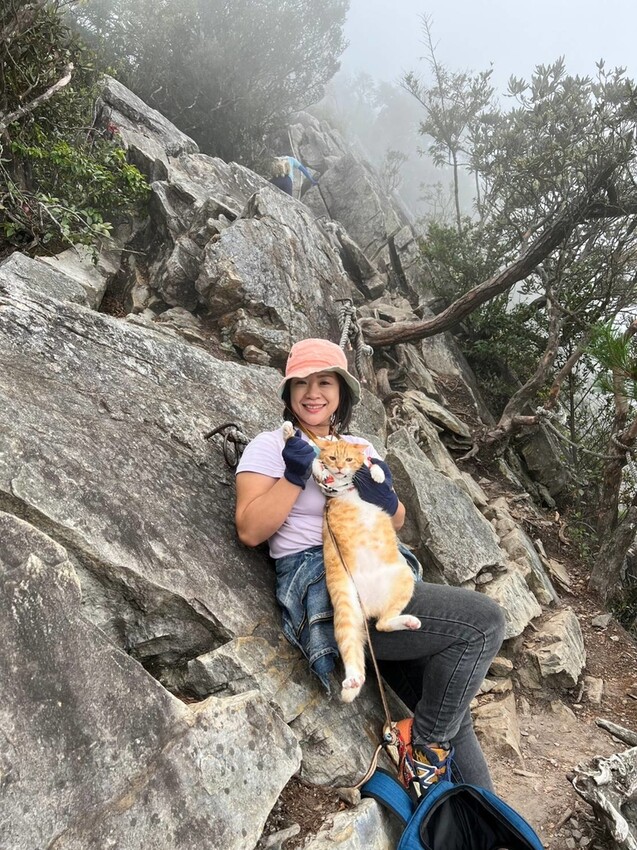 【台中】鳶嘴山+捎來步道。貓咪巴蕊初登鳶嘴山。標高2180中級山。懼高者體驗心得分享