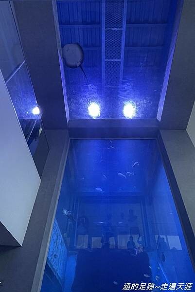 IMG_1469.jpg IMG_1469.jpg