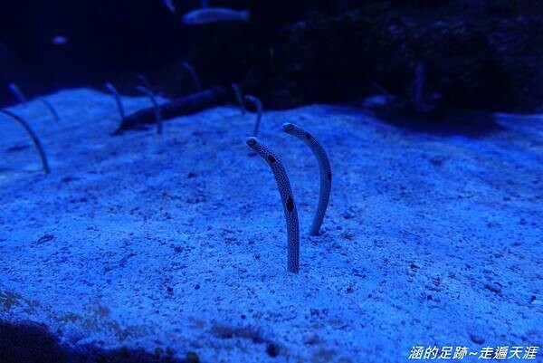 DSC01675.jpg DSC01675.jpg