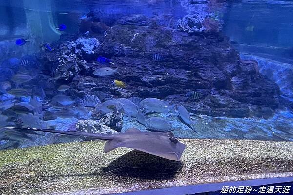 IMG_1443.jpg IMG_1443.jpg