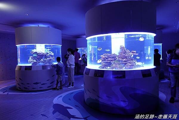 DSC01660.jpg DSC01660.jpg