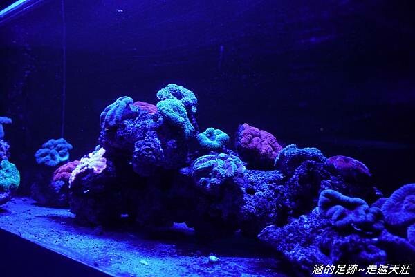 DSC01814.jpg DSC01814.jpg