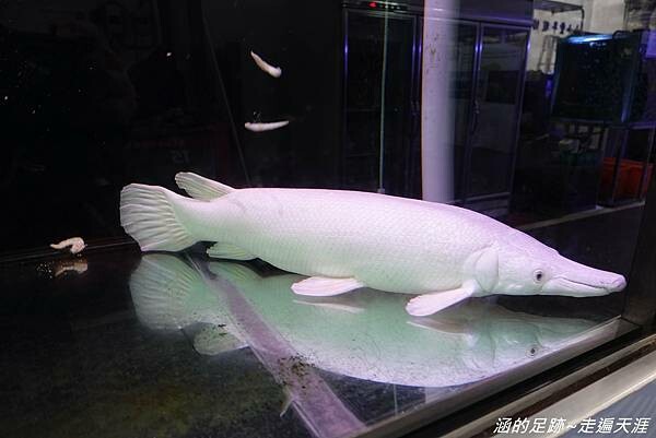 DSC01876.jpg DSC01876.jpg