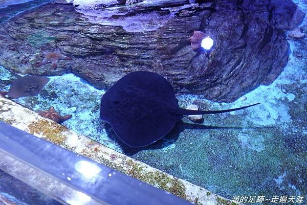 DSC01547.jpg DSC01547.jpg