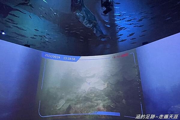 IMG_1439.jpg IMG_1439.jpg