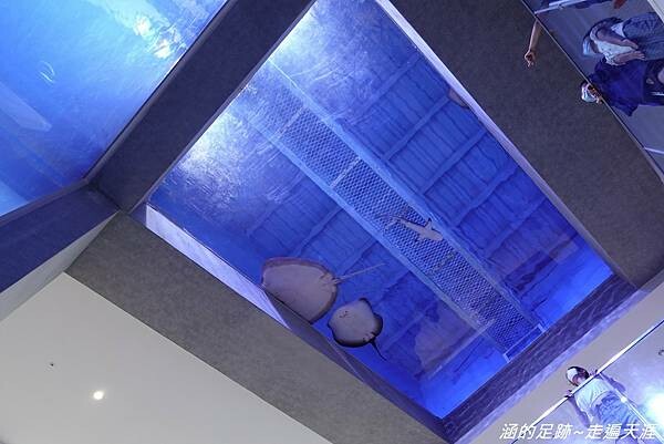 DSC01588.jpg DSC01588.jpg