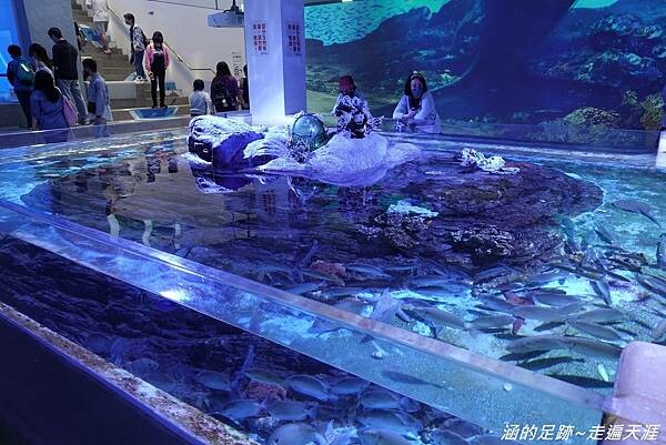 DSC01542.jpg DSC01542.jpg