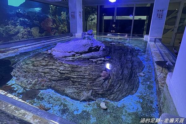 IMG_1442.jpg IMG_1442.jpg