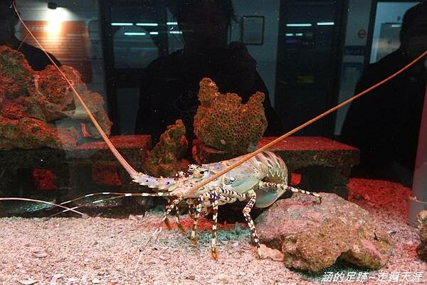 DSC01889.jpg DSC01889.jpg