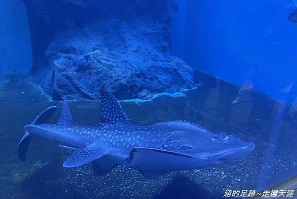 IMG_1452.jpg IMG_1452.jpg