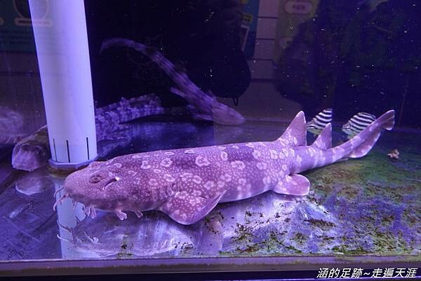 DSC01859.jpg DSC01859.jpg