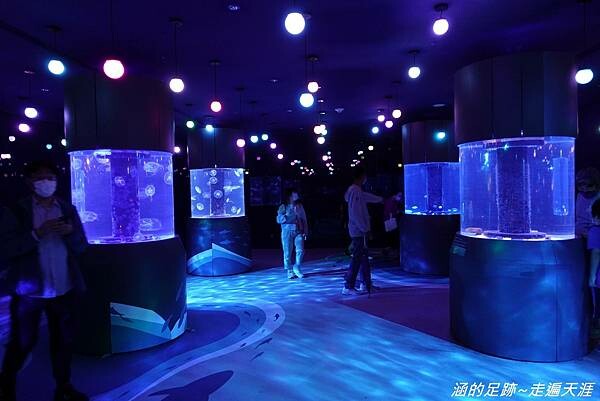 DSC01718.jpg DSC01718.jpg