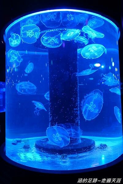 DSC01687.jpg DSC01687.jpg