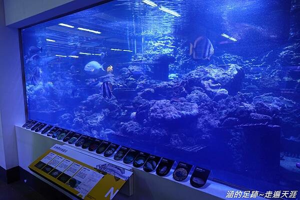 DSC01867.jpg DSC01867.jpg