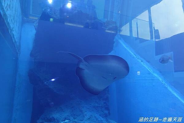 DSC01570.jpg DSC01570.jpg