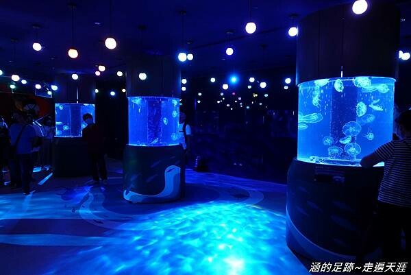 DSC01683.jpg DSC01683.jpg