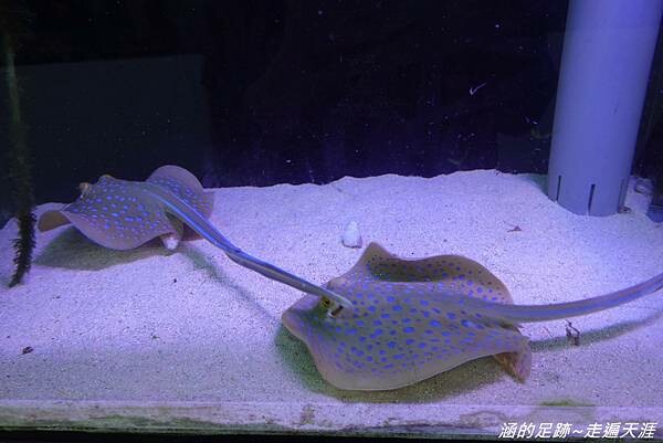 DSC01885.jpg DSC01885.jpg