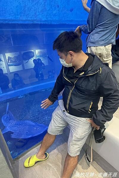 IMG_1492.jpg IMG_1492.jpg