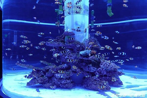 DSC01669.jpg DSC01669.jpg