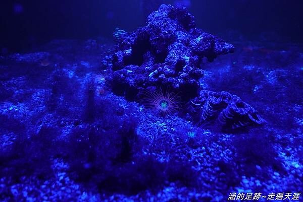 DSC01809.jpg DSC01809.jpg