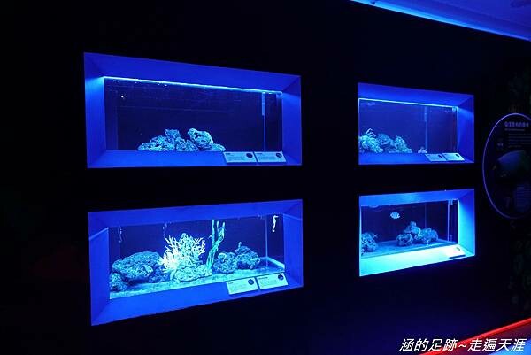 DSC01804.jpg DSC01804.jpg