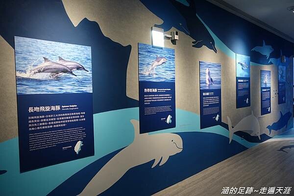 DSC01540.jpg DSC01540.jpg